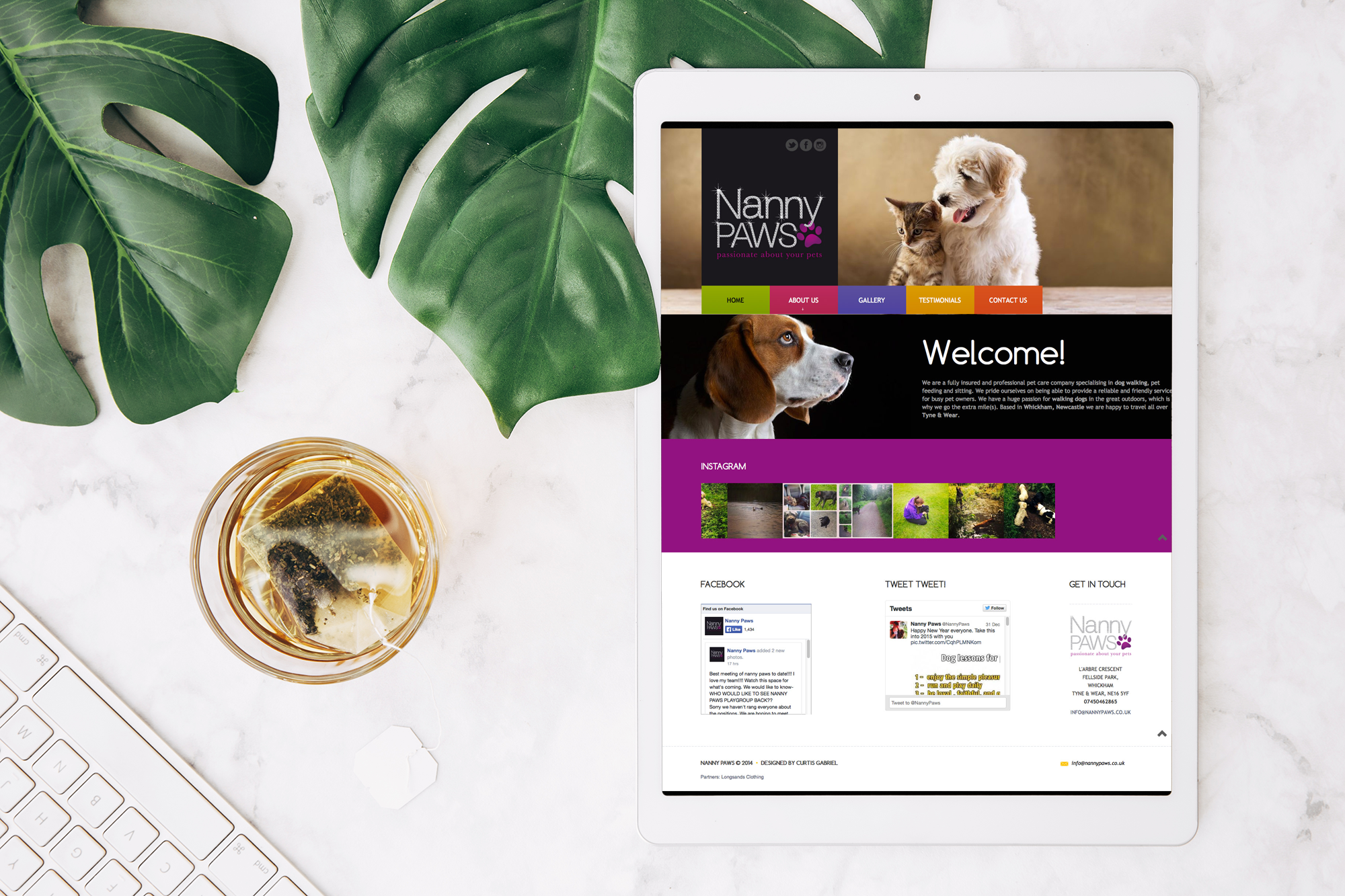 nanny paws website design build newcastle